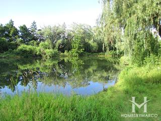 Photos of Hidden Pond Bike Path in Crystal Lake, IL