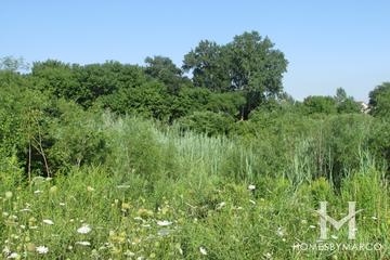 Willows Edge Park in Crystal Lake, IL