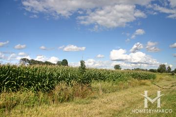 Photos of Sunset Meadows Park in Crystal Lake, IL