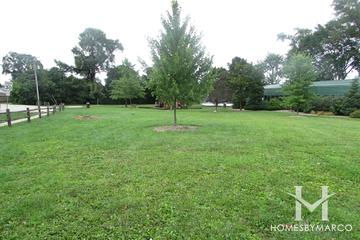 Naoki Kamijama Park in Crystal Lake, IL
