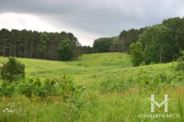 Wingate Prairie in Crystal Lake, IL