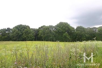 Wingate Prairie in Crystal Lake, IL