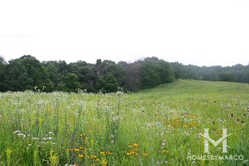 Wingate Prairie in Crystal Lake, IL