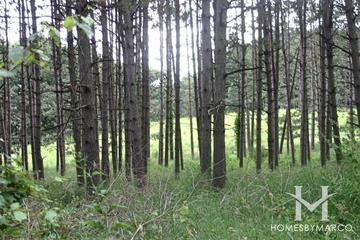 Wingate Prairie in Crystal Lake, IL