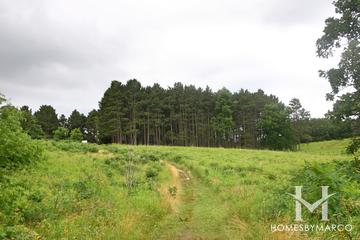 Wingate Prairie in Crystal Lake, IL