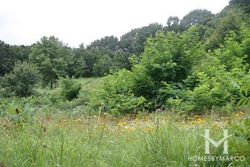 Wingate Prairie in Crystal Lake, IL