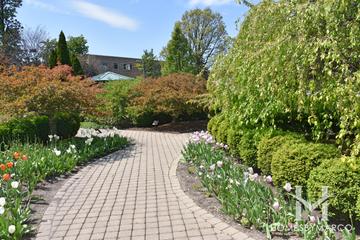 Central Park in Des Plaines, IL