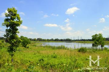 Hidden Lake Forest Preserve in Downers Grove, IL