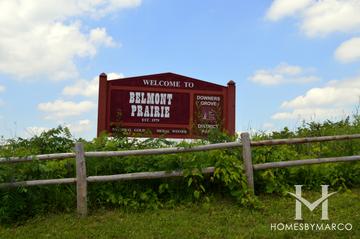 Photos of Belmont Prairie Nature Preserve in Downers Grove, IL