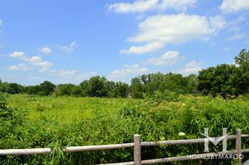 Belmont Prairie Nature Preserve in Downers Grove, IL