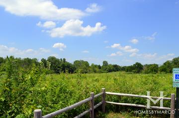 Belmont Prairie Nature Preserve in Downers Grove, IL