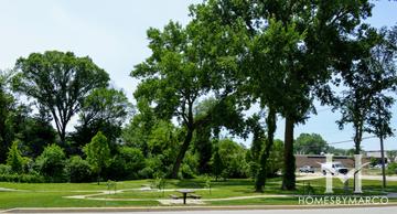 Photos of Belmont & Curtiss Park in Downers Grove, IL