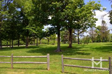 Burlington & Walnut Park in Downers Grove, IL