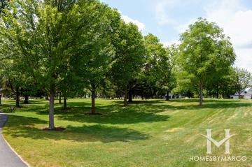 Ruth Powers Park in Downers Grove, IL