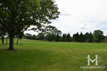 O'Brien Park in Downers Grove, IL