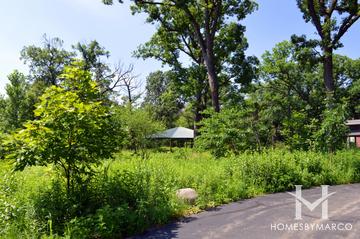Lyman Woods Forest Preserve in Downers Grove, IL