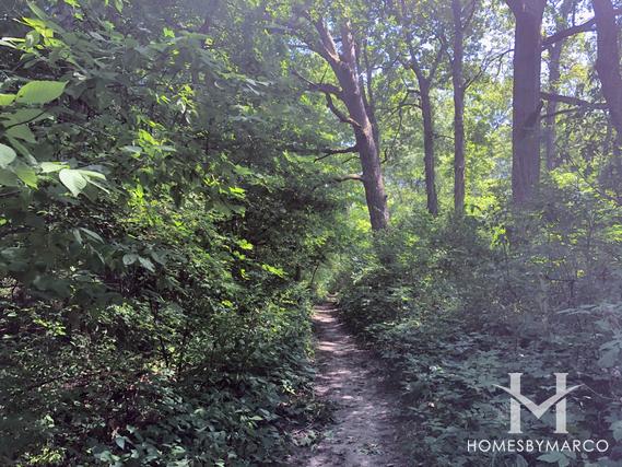 Lyon/Richard Young Forest Preserve in Yorkville, IL