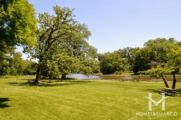 Churchill Woods Forest Preserve in Glen Ellyn, IL