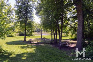 Churchill Woods Forest Preserve in Glen Ellyn, IL