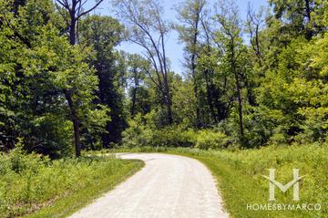 Churchill Woods Forest Preserve in Glen Ellyn, IL