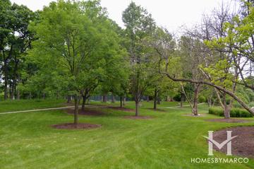 Lake Ellyn Park in Glen Ellyn, IL