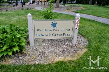 Photos of Babcock Grove Park in Glen Ellyn, IL