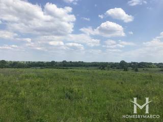 Hawk Hollow Forest Preserve in Hanover Park, IL