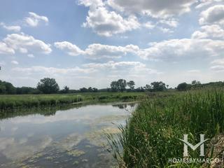 Hawk Hollow Forest Preserve in Hanover Park, IL