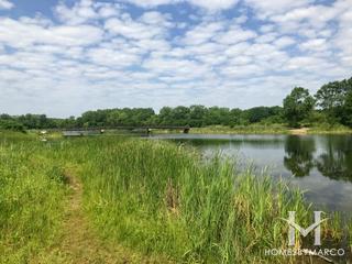 Mallard Lake Forest Preserve in Hanover Park, IL