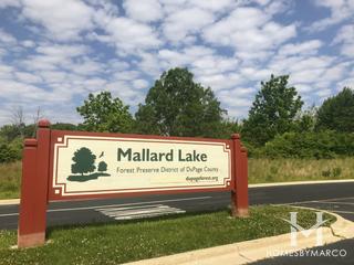 Photos of Mallard Lake Forest Preserve in Hanover Park, IL