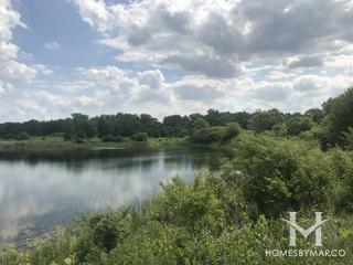 Mallard Lake Forest Preserve in Hanover Park, IL