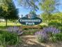 Community Park