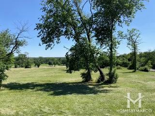 Pioneer Woods Forest Preserve in Hickory Hills, IL