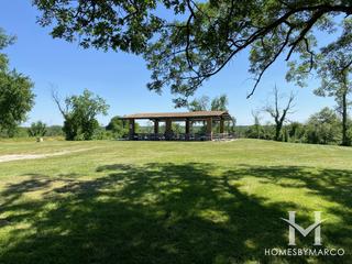 Pioneer Woods Forest Preserve in Hickory Hills, IL