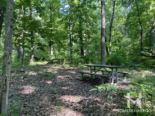 Hickory Hills Woods Forest Preserve in Hickory Hills, IL