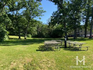 Hickory Hills Woods Forest Preserve in Hickory Hills, IL