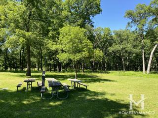 White Oak Woods Forest Preserve in Hickory Hills, IL