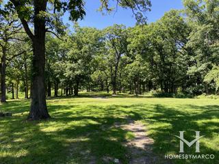 Hidden Pond Woods Forest Preserve in Hickory Hills, IL