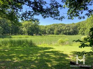 Hidden Pond Woods Forest Preserve in Hickory Hills, IL