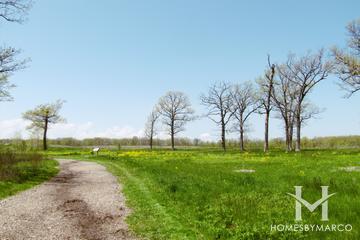 Fort Sheridan Forest Preserve in Highland Park, IL
