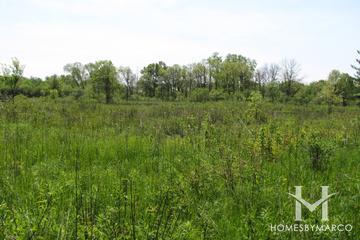 Highmoor Nature Preserve in Highland Park, IL