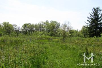 Highmoor Nature Preserve in Highland Park, IL