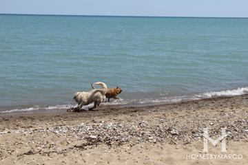 Moraine Park in Highland Park, IL