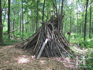 Walter E. Heller Nature Preserve in Highland Park, IL