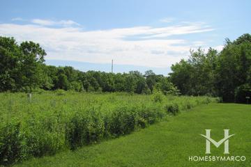 Walter E. Heller Nature Preserve in Highland Park, IL
