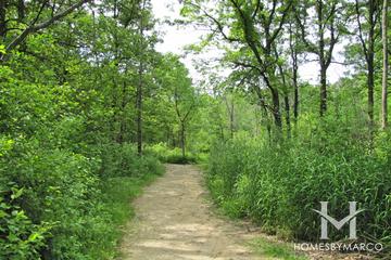 Walter E. Heller Nature Preserve in Highland Park, IL