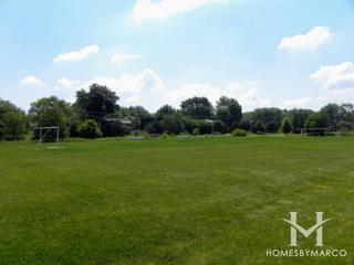 Eisenhower Park in Hoffman Estates, IL