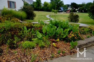 Colony Park in Hoffman Estates, IL