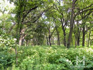 Oak Park in Hoffman Estates, IL