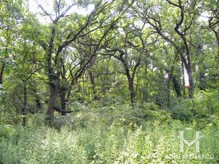 Oak Park in Hoffman Estates, IL